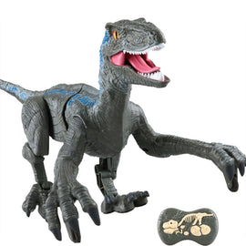 Remote Control Dinosaur Toys