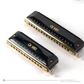 Advanced Chromatic Harmonica