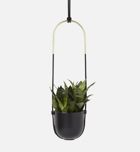 Bolo Planter - Black