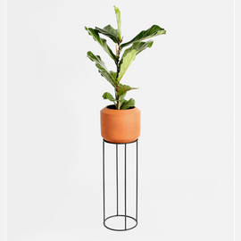 Pumpkin Planter - Terra / Black