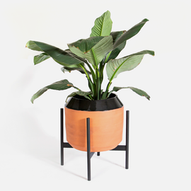 Eden Planter - Terra / Black