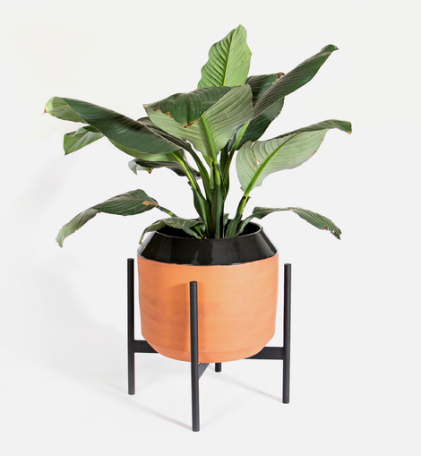 Eden Planter - Terra / Black