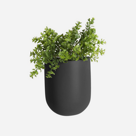 Oval Wall Planter  - Black