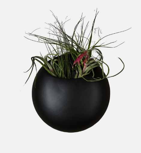 Pod Wall Planter - Black