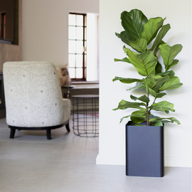 Square Sven Floor Planter -Black