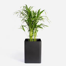 Square Sven Floor Planter -Black