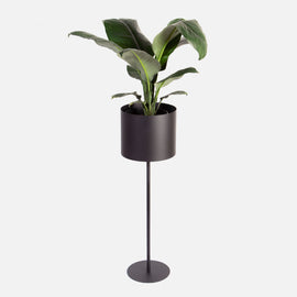 Vino Plant Stand - Black