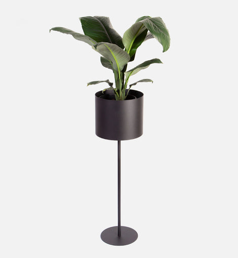 Vino Plant Stand - Black